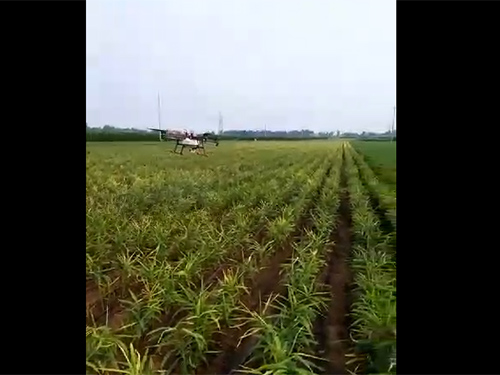 視頻欣賞4